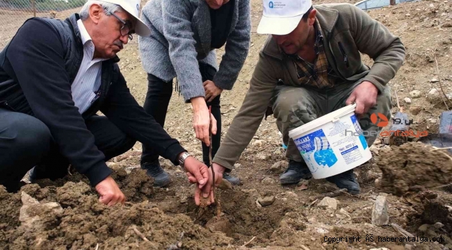 Gündoğmuş'a ceviz fidanı ve hamur makinesi yardımı