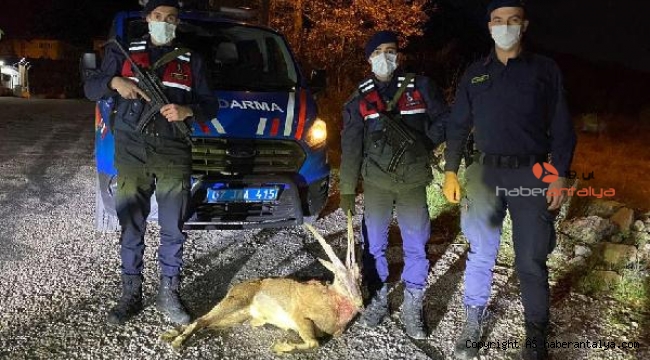 Koruma altındaki yaban keçisini avlayan 3 kişiye para cezası