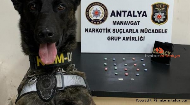 Pars uyuşturucuya geçit vermiyor
