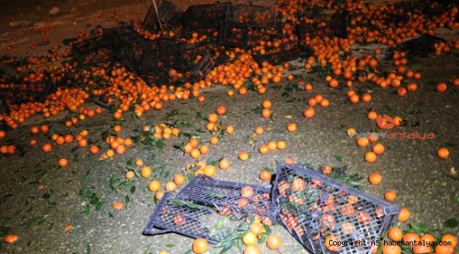 TIR'ın dorsesindeki tonlarca mandalina yola saçıldı