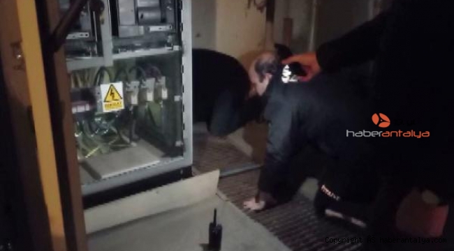 Trafoya giren kedi, itfaiye tarafından çıkartıldı