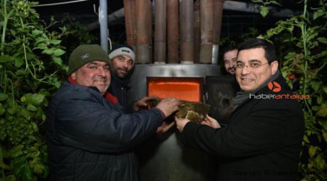 Tütüncü, üreticilerle 'zirai don' nöbetinde