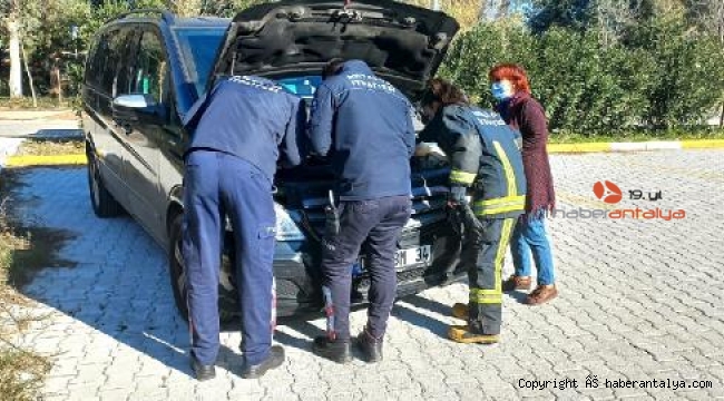 Yavru kediyi aracın motorundan çıkarmak için kedi sesi dinlettiler