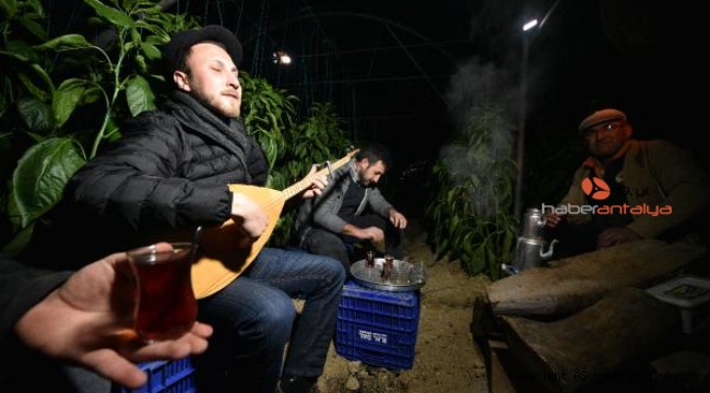 Zirai don uyarısı yapılan Antalya'da sazlı sözlü nöbet