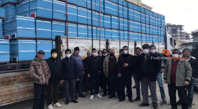 Arıcılara kovan desteği