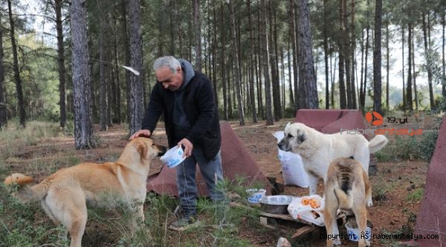 Can dostlar soğuk havalarda unutulmadı