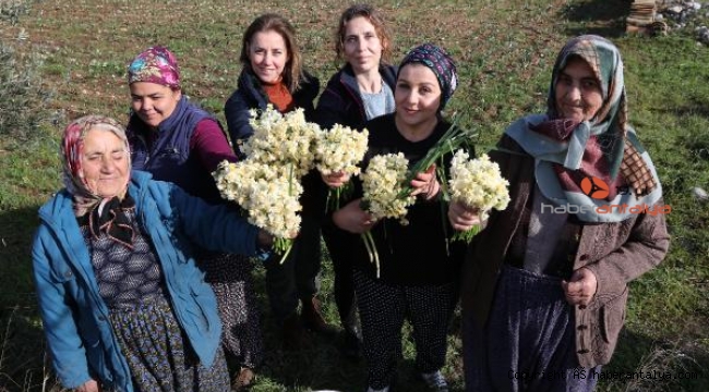 EMİTT Fuarı, Döşemealtı nergisi kokacak