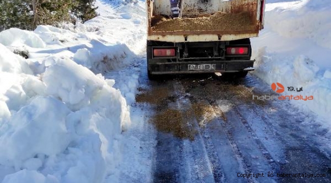 Gelesandra yolunda tuzlama çalışması