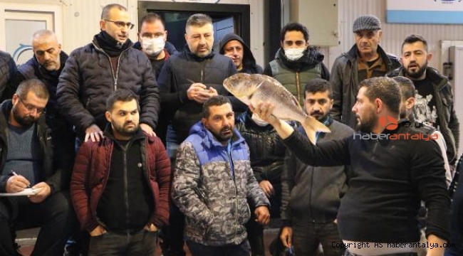 Mezatta ucuz balık rekabeti