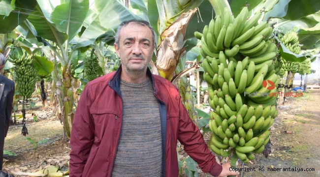 Seradan 8 TL'ye çıkıyor, nadir de olsa çiftçinin yüzü gülüyor 