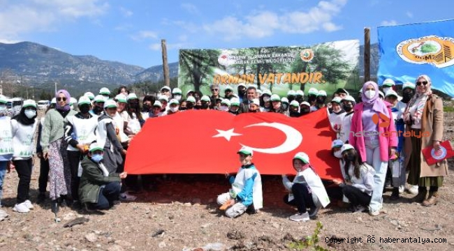 250 şehit anısına 250 fidan dikildi