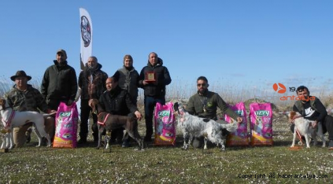 Av köpekleri kıyasıya yarıştı