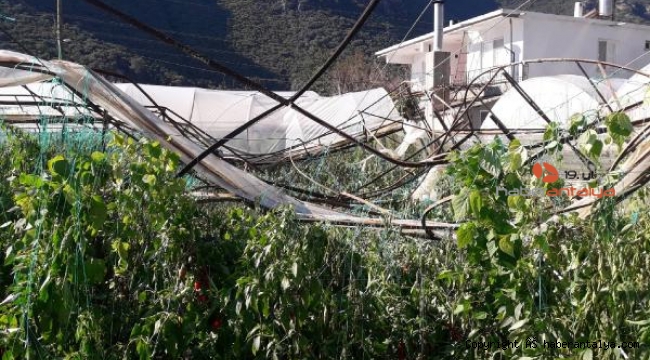 Demre'de hortum seralara zarar verdi