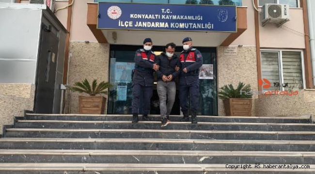 Hırsızlık suçundan 15 yıl hapis cezasıyla aranan hükümlü yakalandı