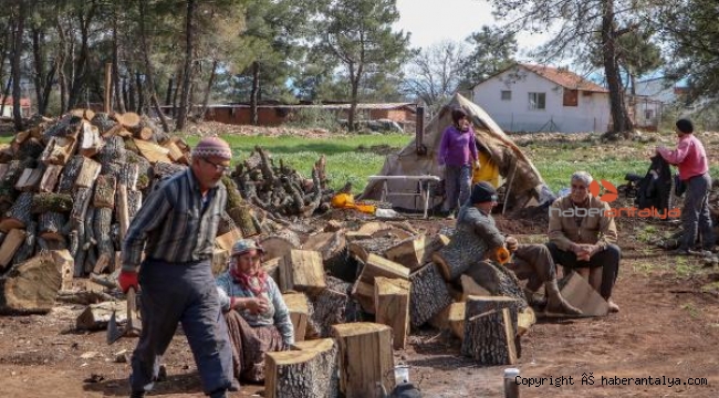 İşte mangal kömürünün 'zahmetli' yolculuğu