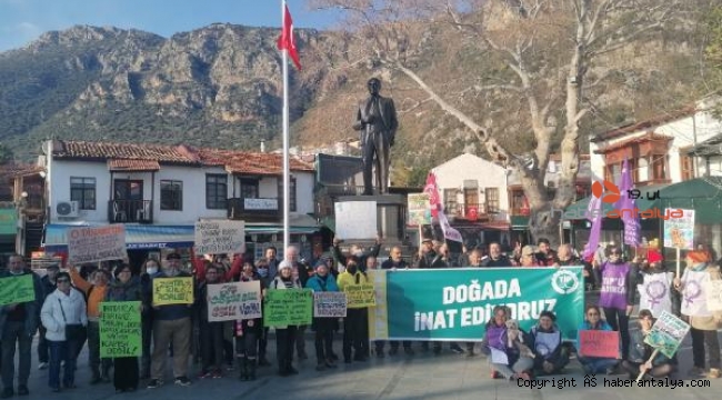 Kaşlılar da 'Zeytinime Dokunma' dedi