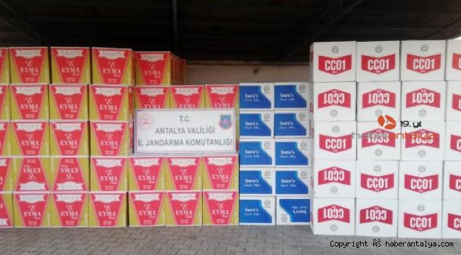 Manavgat'ta 3 milyon 730 bin boş makaron ele geçirildi