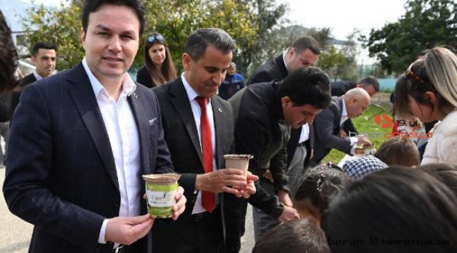 Minikler tohum ekti fidan dikti