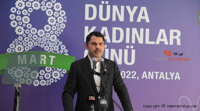 Murat Kurum'dan, 'zeytinlik talanı' açıklaması