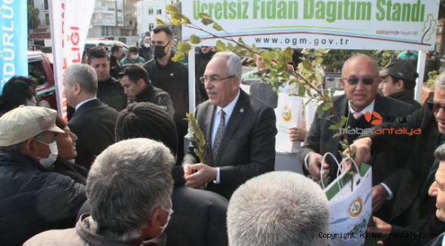 Orman yangınına kurban giden Manavgat'ta 10 bin fidan dağıtıldı