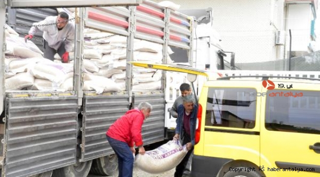 Yangın bölgesinde 1360 ton ucuz arpa desteği