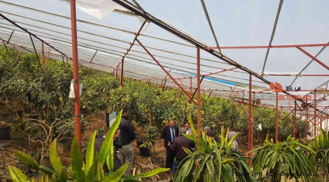Alanya yenidünyasında ilk kez örtü altında