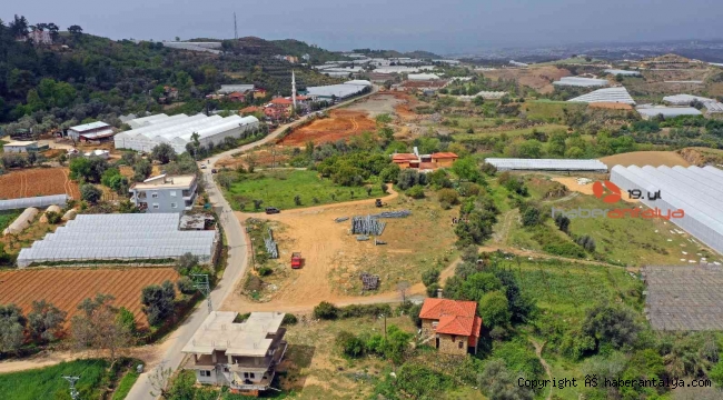 Alanya'da Tropik Meyve Tanıtım Merkezi kuruluyor