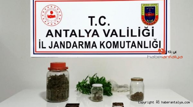 Alanya'da uyuşturucu operasyonu