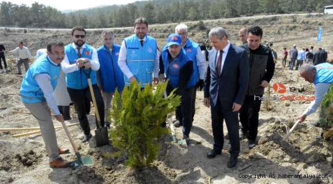 Gurbetçilerden Manavgat'a 250 bin fidan bağışı