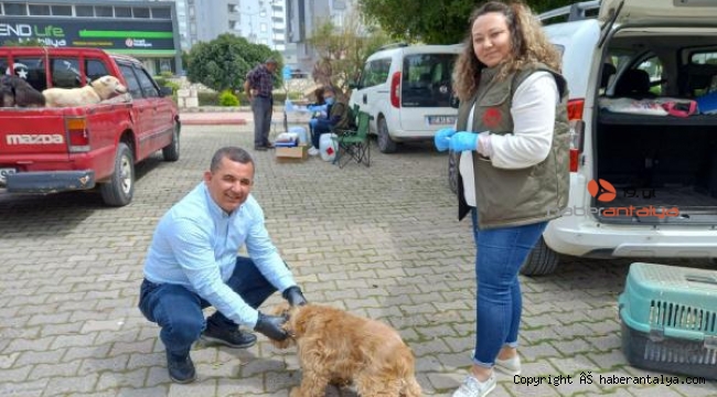 Kumluca'da kedi, köpeğe kuduz aşısı uygulandı