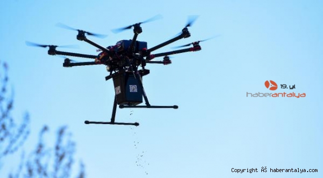 Muratpaşa Manavgat'ta drone ile tohum ekti