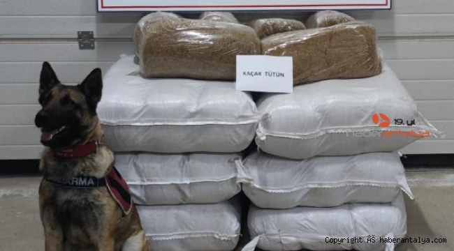 Yolcu otobüsünde 252 kilo kaçak tütün !