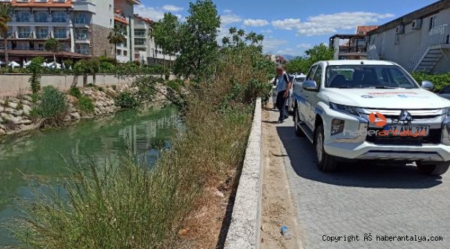 Akdeniz'de müsilaj raporu: Antalya sahilleri ve iç sular temiz