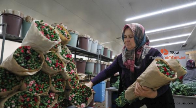 Anneler Günü için Rusya ve Ukrayna dahil 33 ülkeye 70 milyon dallık çiçek ihracatı