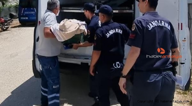Betül bebek bıçaklanmış olarak ölü bulundu, anne gözaltına alındı !