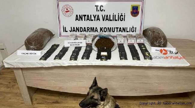 Jandarmadan kaçak tütün baskını