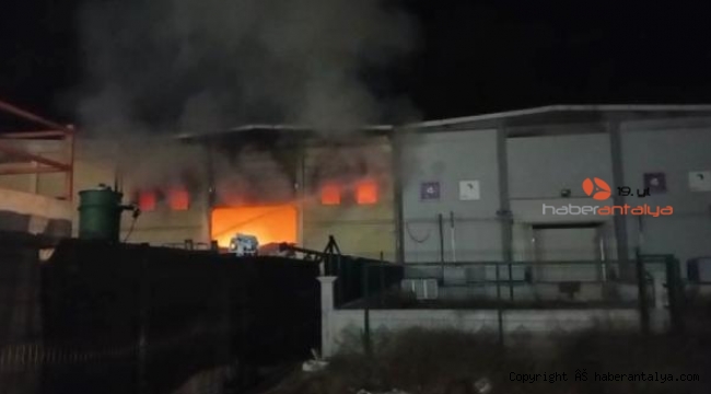 Kargo şirketi deposunda yangın