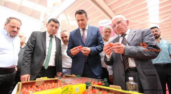 Kaş Tarım Sergisi açıldı
