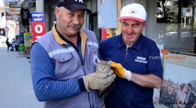 Yavru kediyi temizlik personeli kurtardı