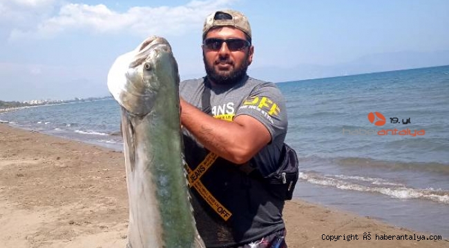 15 kiloluk liça balığı avladı