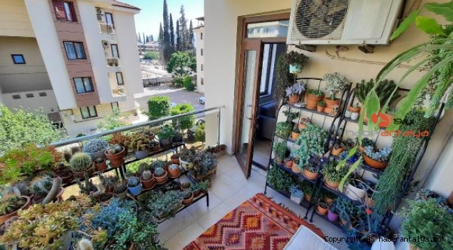 Antalya'nın en güzel balkon bahçe ve terasları belli oldu 
