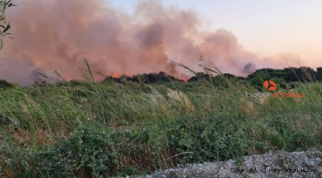 Kaş'ta iki noktada çıkan yangınlar söndürüldü