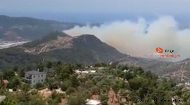 Kaş'ta makilik yangını