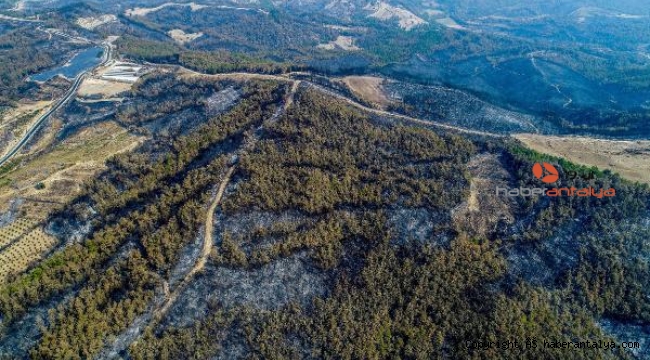Manavgat ormanları bu kez de iş makinaları tarafından zarar görüyor