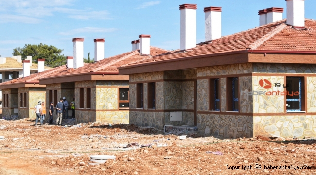 Manavgat'ta yangının yaraları sarılmaya devam ediyor
