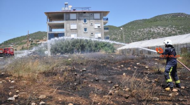 Mezarlıktaki yangın büyümeden söndürüldü