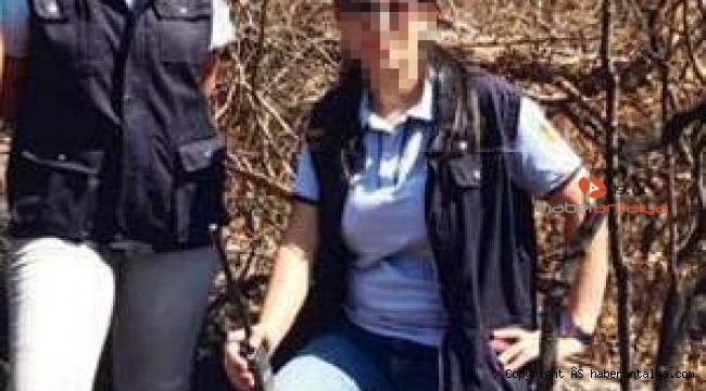 Orman vurgunu operasyonunda sahte vaziyet planı!