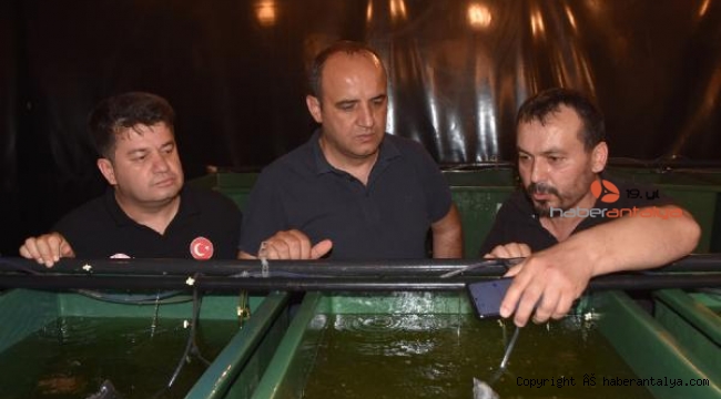 Sarıağız üretilip, ekonomiye kazandırılacak