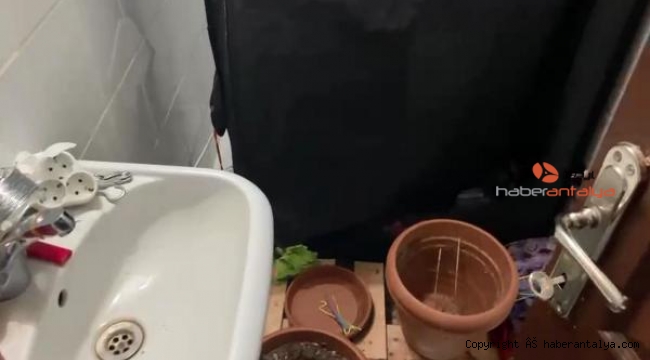 Tuvaleti, 'uyuşturucu laboratuvarı'na dönüştürmüş !