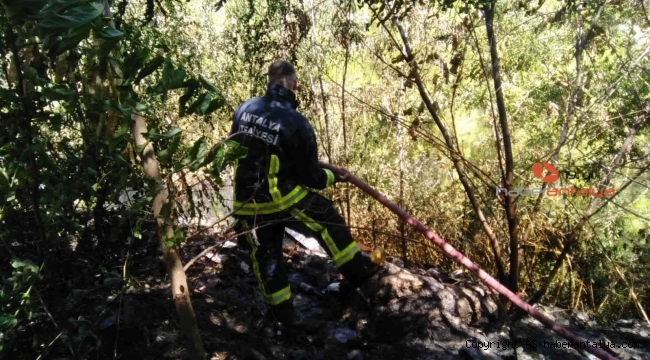 Alanya'da 1.5 dönüm ormanlık alan kül oldu